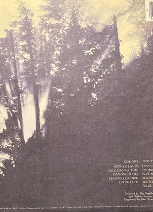 Dan Fogelberg : Nether Lands (LP, Album, RE, Pit)