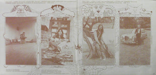 Savoy Brown : Looking In (LP, Album, AL )
