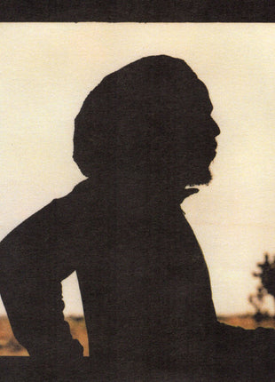 Ziggy Marley : Dragonfly (CD, Album)