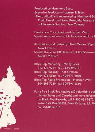Various : Blues Costume Party (CD)