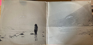 Gino Vannelli : Brother To Brother (LP, Album, Promo)