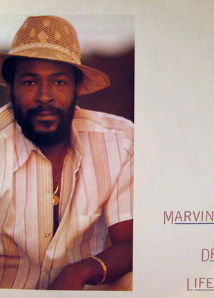 Marvin Gaye : Dream Of A Lifetime (LP, Album, Pit)