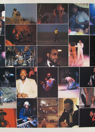 Marvin Gaye : Dream Of A Lifetime (LP, Album, Pit)