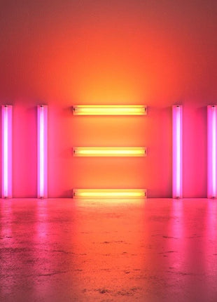 Paul McCartney : New (CD, Album)