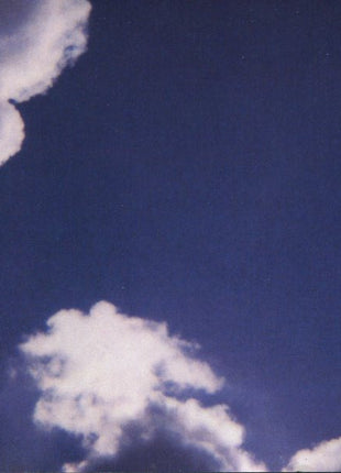 Tracy Chapman : Where You Live (CD, Album, Oly)