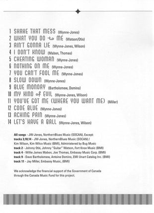 The JW-Jones Blues Band : My Kind Of Evil (CD, Album)