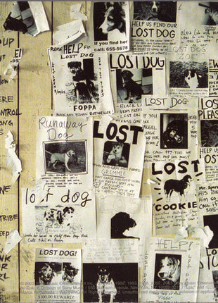 Pearl Jam : Lost Dogs (2xCD, Album, Comp)