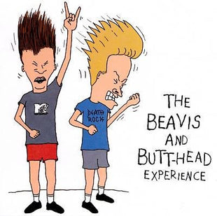 Various : The Beavis And Butt-Head Experience (CD, Album, Comp)