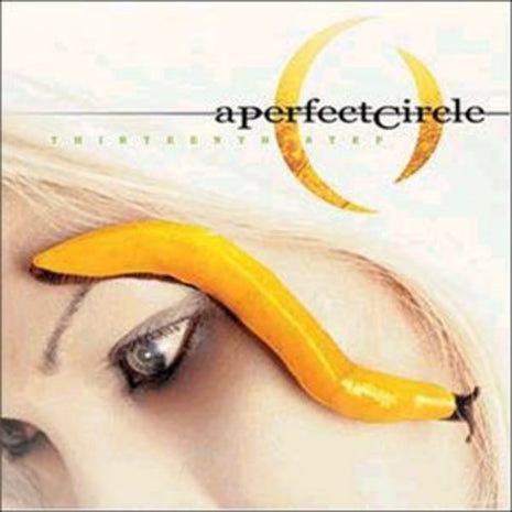 A Perfect Circle - Thirteenth Step (Vinyl) (New (N))