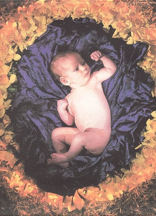 The Cranberries : To The Faithful Departed (CD, Album, Club)