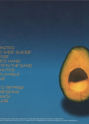 Pearl Jam : Pearl Jam (CD, Album, Dig)