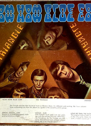 Triangle (14) : Now How Blue Cow (LP, Album, Promo)