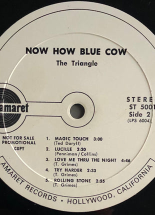 Triangle (14) : Now How Blue Cow (LP, Album, Promo)