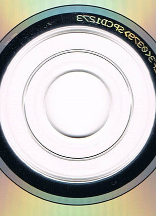 Sonny Rhodes : A Good Day To Play The Blues (CD, Album)