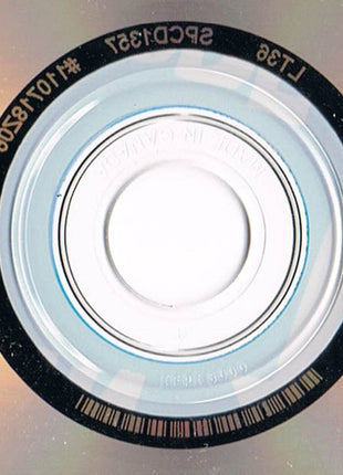 The Duke Robillard Band : Low Down And Tore Up (CD, Album)