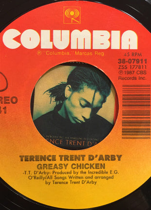 Terence Trent D'Arby : Sign Your Name (7", Single, Styrene)