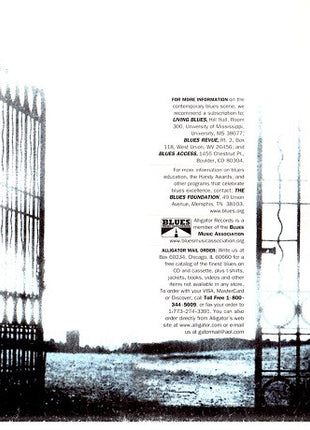Dave Hole : Outside Looking In (CD, Album)