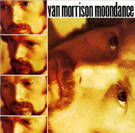 Van Morrison : Moondance (CD, Album, Club, RE)