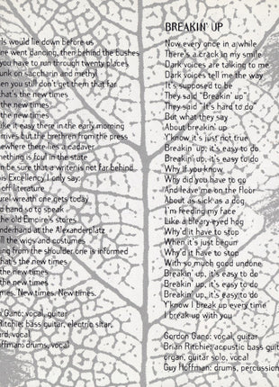 Violent Femmes : New Times (CD, Album)