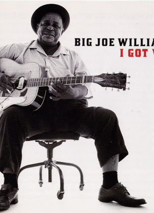 Big Joe Williams : I Got Wild (CD, Album, Comp)