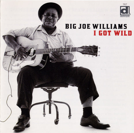 Big Joe Williams : I Got Wild (CD, Album, Comp)