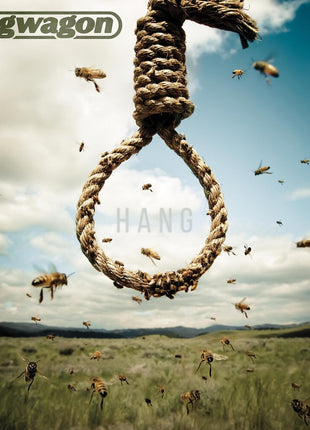 the album cover for Lagwagon - Hang [Vinyl]