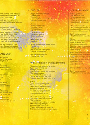 Steve Winwood : Talking Back To The Night (LP, Album, Win)