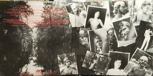 Wishbone Ash : New England (LP, Album, Pre)