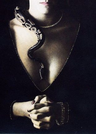 Whitesnake : Slide It In (CD, Album, RE)