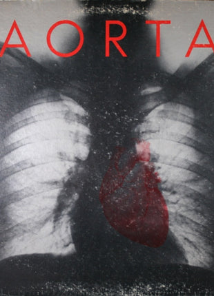 Aorta : Aorta (LP, Album, Gat)