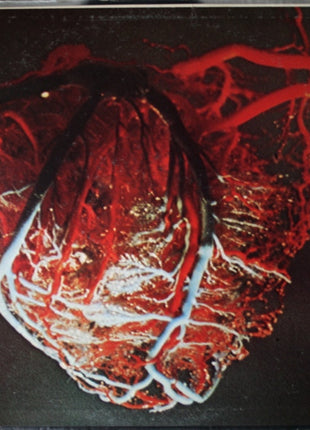 Aorta : Aorta (LP, Album, Gat)