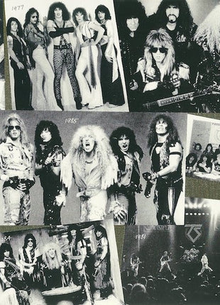 Twisted Sister : Big Hits And Nasty Cuts - The Best Of Twisted Sister (CD, Comp, RE)