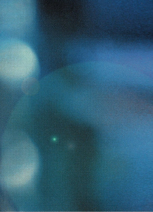 Various : Blues Next The New Generation (CD, Comp)