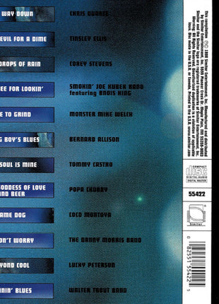 Various : Blues Next The New Generation (CD, Comp)