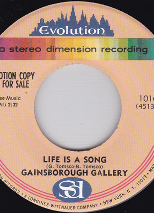 The Gainsborough Gallery : Hello L.A., Bye-Bye Birmingham (7", Single, Promo)