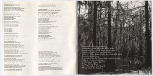 Wayne Toups & Zydecajun : Fish Out Of Water (CD, Album)