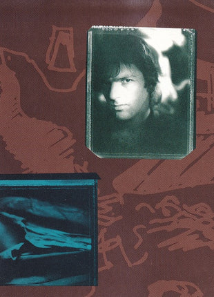 Robyn Hitchcock & The Egyptians : Perspex Island (CD, Album)