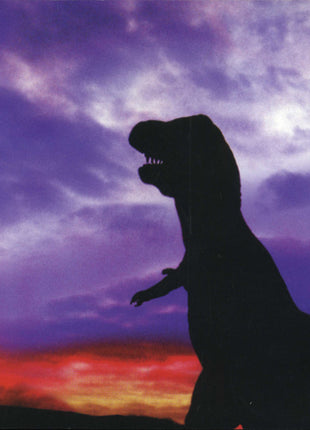 Steve Morse Band : StressFest (CD, Album)