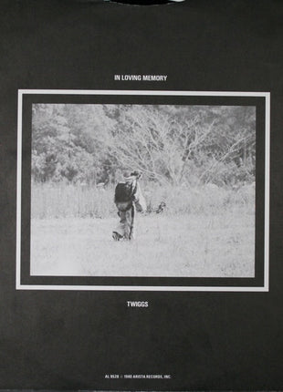 Dixie Dregs : Dregs Of The Earth (LP, Album)