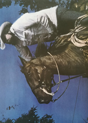 The Charlie Daniels Band : Nightrider (LP, Album, Gol)