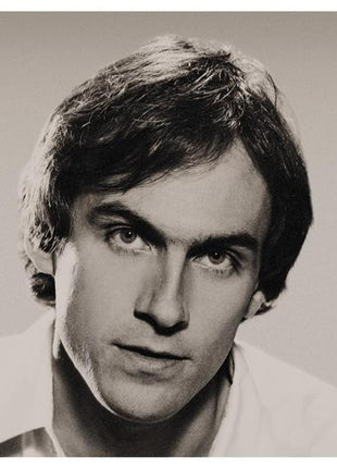 James Taylor (2) : JT (LP, Album, Pit)