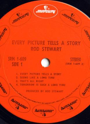 Rod Stewart : Every Picture Tells A Story (LP, Album, Ter)