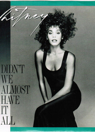 Whitney Houston : Didn't We Almost Have It All (7", Spe)