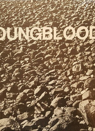 The Youngbloods : Rock Festival (LP, Album, Pit)