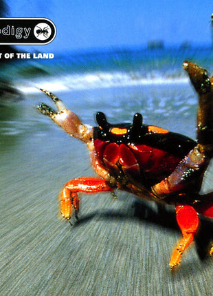 Prodigy* : The Fat Of The Land (CD, Album)