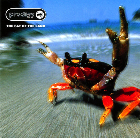Prodigy* : The Fat Of The Land (CD, Album)