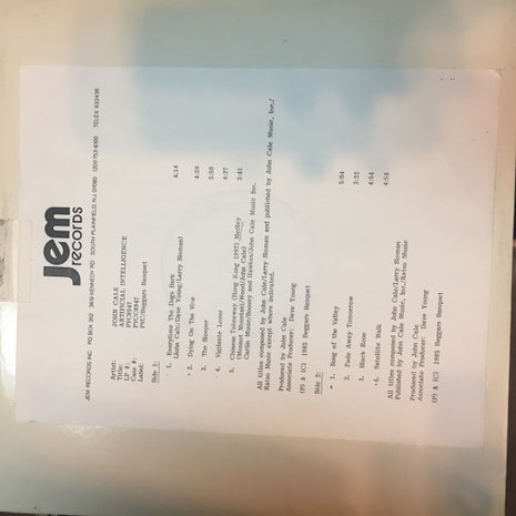 John Cale : Artificial Intelligence (LP, Album, TP)