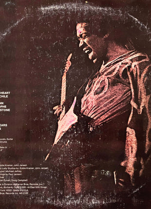 Jimi Hendrix : War Heroes (LP, Album, Ter)