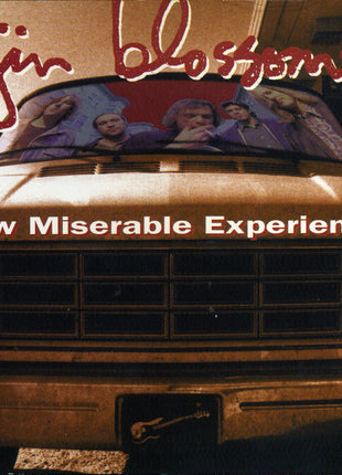 Gin Blossoms : New Miserable Experience (CD, Album, Club)
